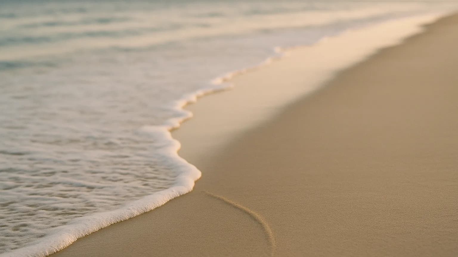 a tide line on smooth sand showing where water rose and fell, soft even light, quiet coastline